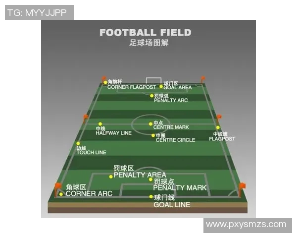 科斯塔的足球之路:从青训到国际赛场的辉煌历程与成就